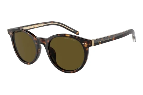 Sunglasses Giorgio Armani AR8199U 587973