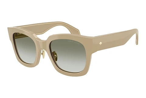 Sunglasses Giorgio Armani AR8223 61618E