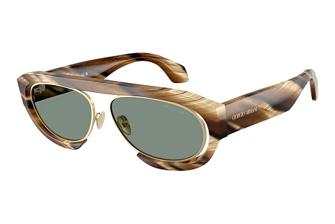 Sunglasses Giorgio Armani AR8239 6065/1