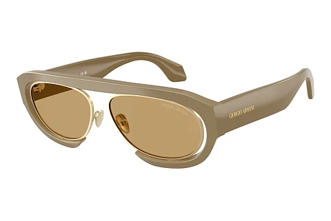 Sunglasses Giorgio Armani AR8239 622273