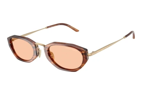 Sunglasses Giorgio Armani AR8242 616273