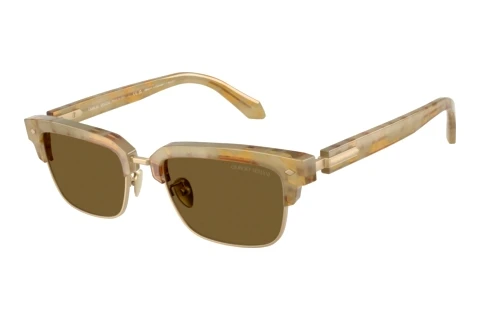 Sunglasses Giorgio Armani AR8243 630073