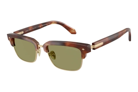 Sunglasses Giorgio Armani AR8243 630214