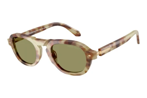 Sunglasses Giorgio Armani AR8244 629914