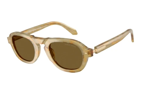 Sunglasses Giorgio Armani AR8244 630073