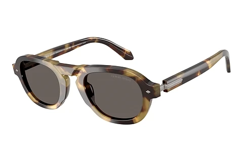 Sunglasses Giorgio Armani AR8244 6301B1