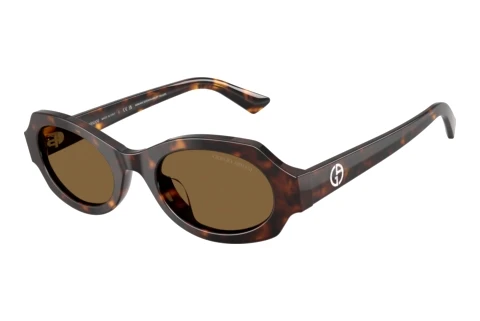 Sunglasses Giorgio Armani AR8245HU 587973