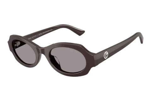Sunglasses Giorgio Armani AR8245HU 6306/1