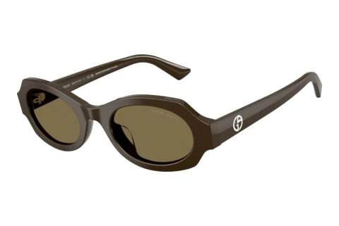 Sunglasses Giorgio Armani AR8245HU 630773