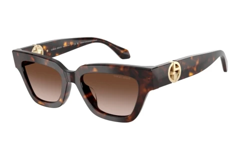 Sunglasses Giorgio Armani AR8246U 587913