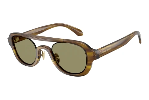 Sunglasses Giorgio Armani AR8247 63302A