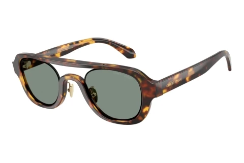 Sunglasses Giorgio Armani AR8247 6331/1