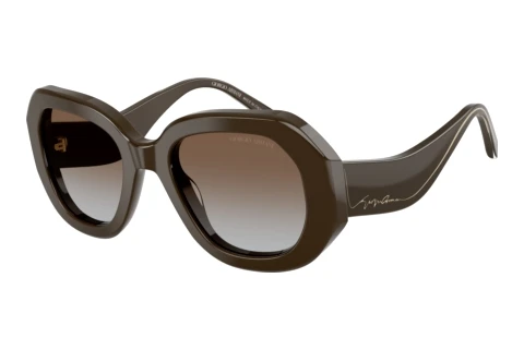 Sunglasses Giorgio Armani AR8248 634089