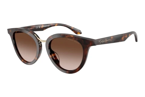 Sunglasses Giorgio Armani AR8252U 612413