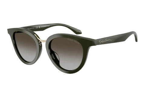 Sunglasses Giorgio Armani AR8252U 640013