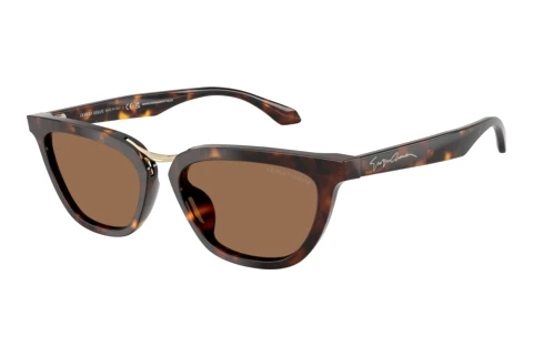 Sunglasses Giorgio Armani AR8253U 612473