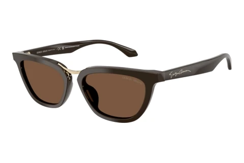 Sunglasses Giorgio Armani AR8253U 639873