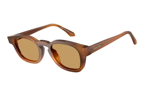 Sunglasses Giorgio Armani AR8254U 616373