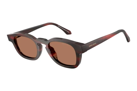 Sunglasses Giorgio Armani AR8254U 639273