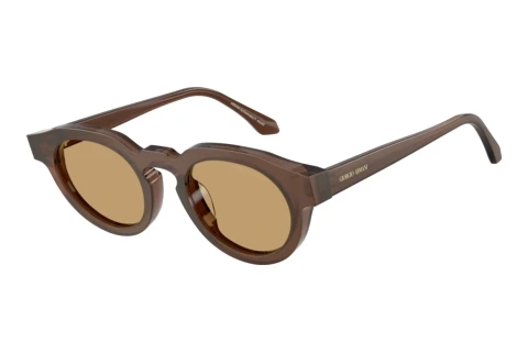 Sunglasses Giorgio Armani AR8255U 639473
