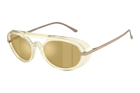 Sunglasses Giorgio Armani AR8256 6409O8