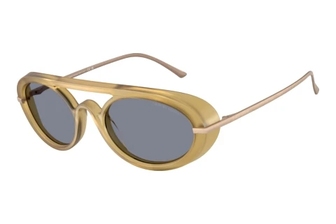 Sunglasses Giorgio Armani AR8256 641119