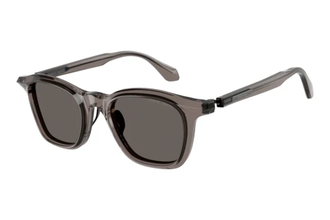 Sunglasses Giorgio Armani AR8257 6423B1