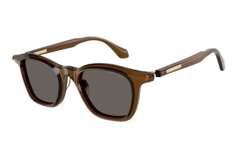 Sunglasses Giorgio Armani AR8257 642453