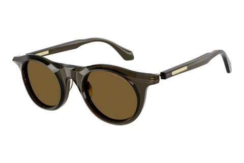 Sunglasses Giorgio Armani AR8258 641973