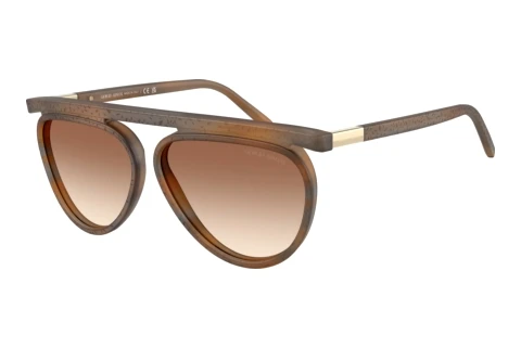 Sunglasses Giorgio Armani AR8262 642913