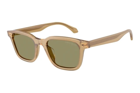 Sunglasses Giorgio Armani AR8265U 64732A