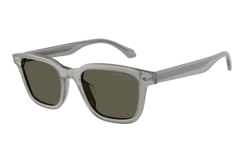 Sunglasses Giorgio Armani AR8265U 647471