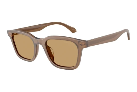 Sunglasses Giorgio Armani AR8265U 647573