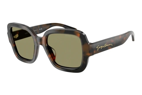 Sunglasses Giorgio Armani AR8268U 64782A