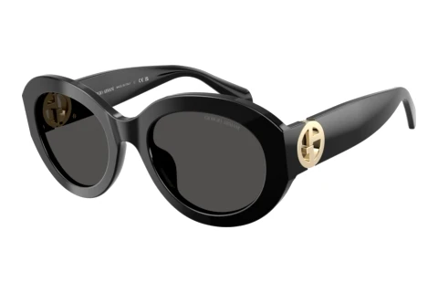 Sunglasses Giorgio Armani AR8269U 587587