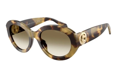 Sunglasses Giorgio Armani AR8269U 630113