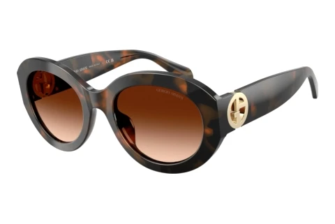 Sunglasses Giorgio Armani AR8269U 647874