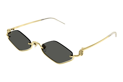 Sunglasses Gucci GG1604S 001