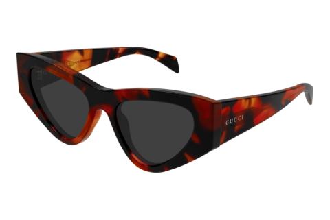 Sunglasses Gucci GG2019S 002