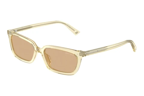Sunglasses Jimmy Choo JC5050U 5083/8