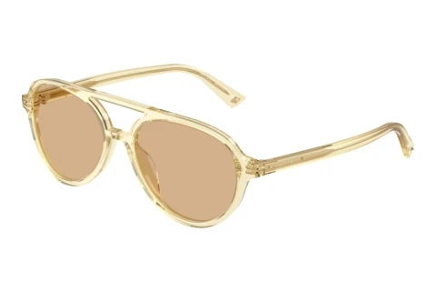 Sunglasses Jimmy Choo JC5055U 5083/8
