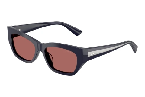 Sunglasses Jimmy Choo JC5071BU 501669