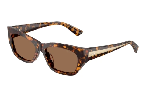 Sunglasses Jimmy Choo JC5071BU 512173