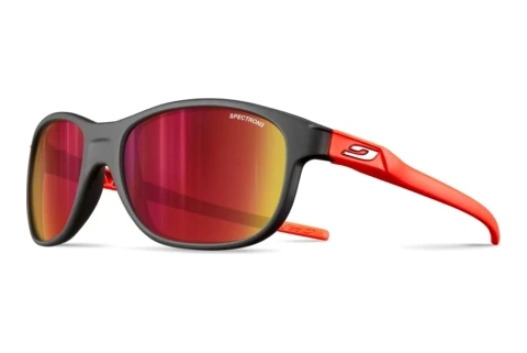 Sunglasses Julbo ARCADE 14_J556