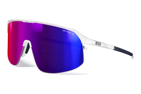 Sunglasses Julbo DENSITY 10_J561