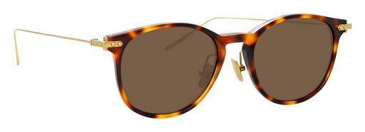Sunglasses Linda Farrow LF01 C14