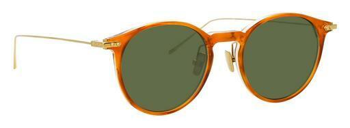 Sunglasses Linda Farrow LF08 C8