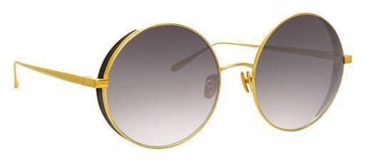 Sunglasses Linda Farrow LFL758 C1