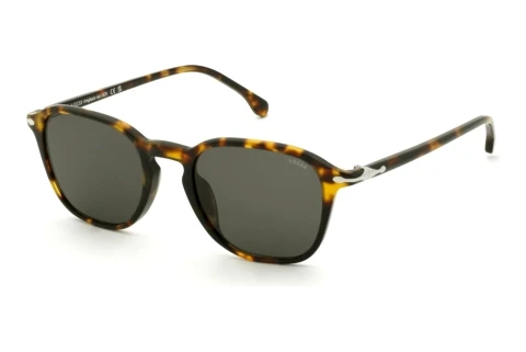 Sunglasses Lozza SL4431 0743