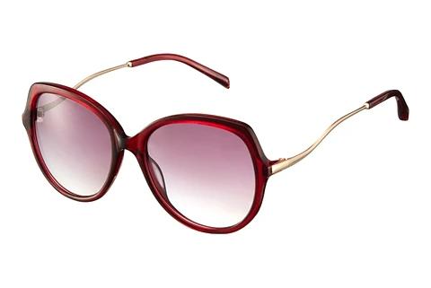 Sunglasses Maje 425014 005